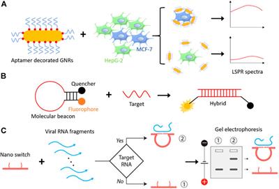 Stimuli Responsive, Programmable DNA Nanodevices for Biomedical Applications